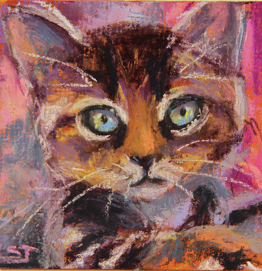 Cat Painting - Crazy Cat Tabby by Susan Jenkins Cat Painting - Crazy Cat Tabby by Susan Jenkins