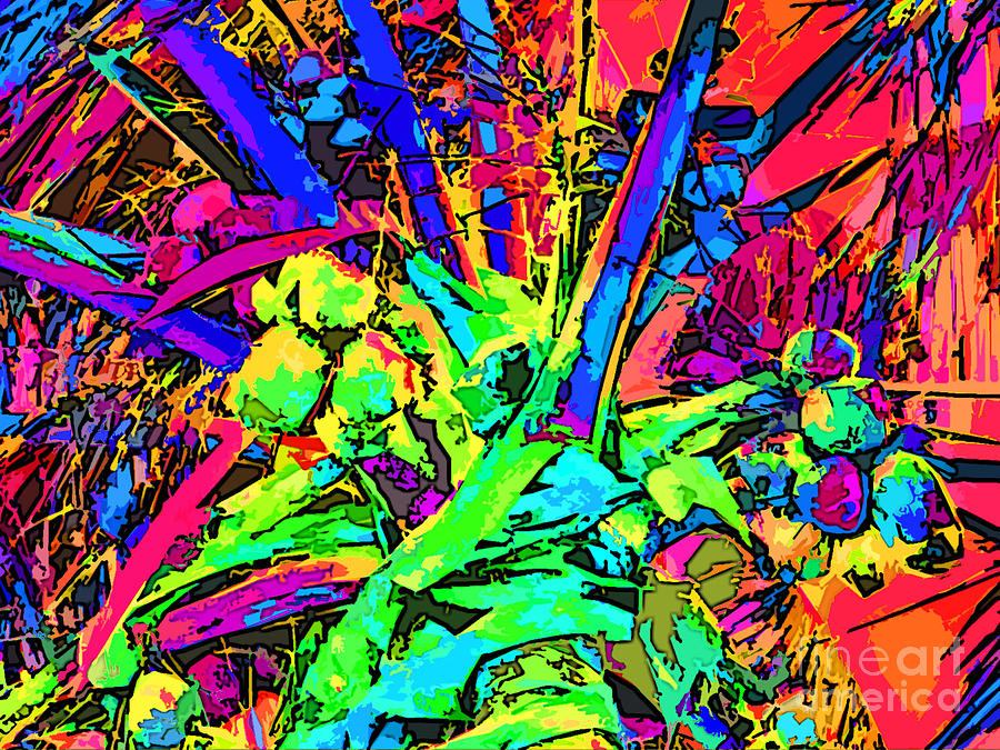 Palm Photograph - Crazy Coconuts by Keri West Palm Photograph - Crazy Coconuts by Keri West