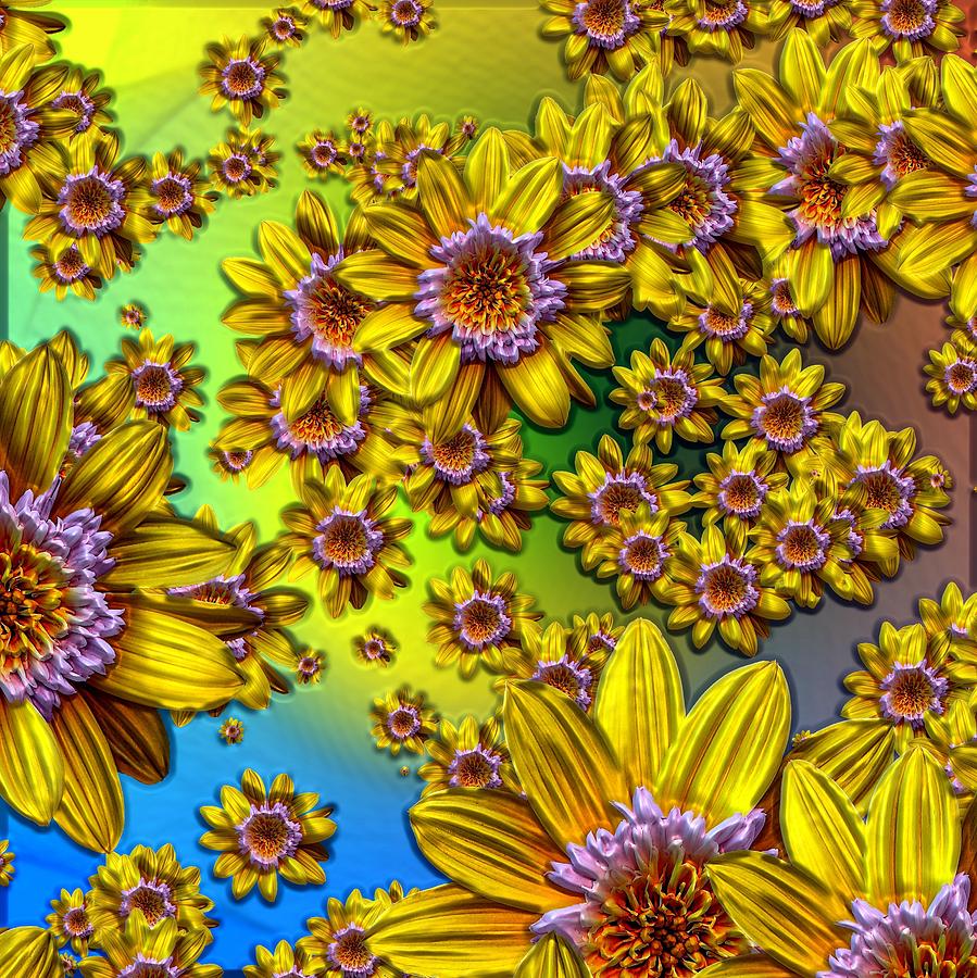 Crazy Daisies Photograph by Nick Kloepping