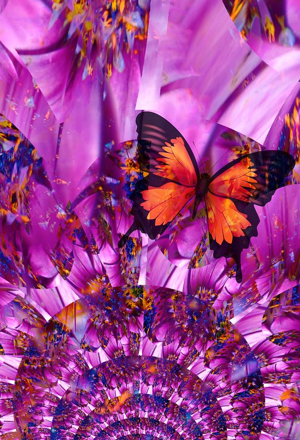 Crazy Flower Butterfly Photograph by Amanda Eberly
