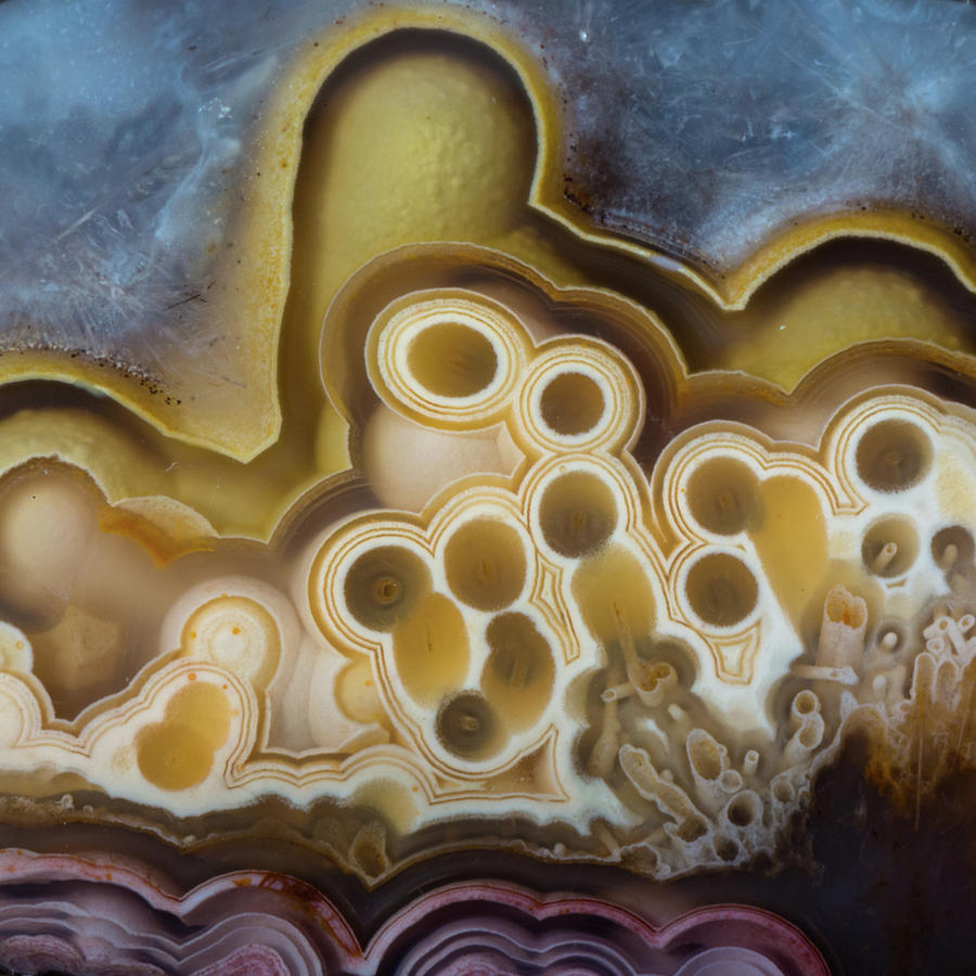 Crazy Lace Agate Photograph by Jim and Lynne Weber