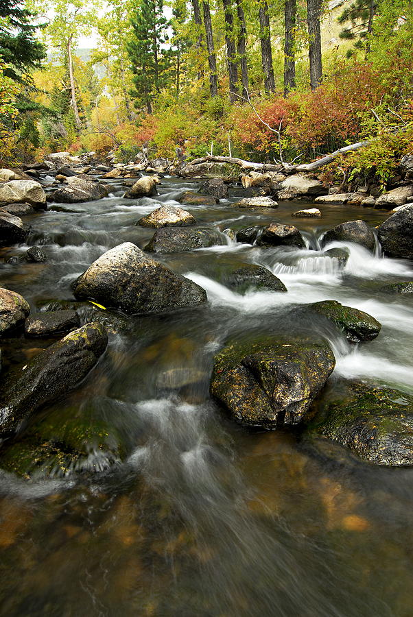 Crazy Woman Creek in Autumn Photograph by Larry Ricker