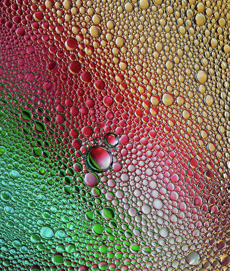 Crazy world of bubbles Photograph by Jaroslaw Blaminsky