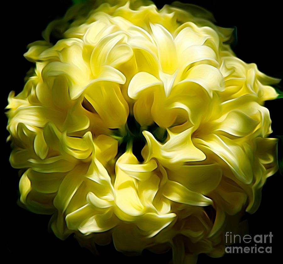 Cream Colored Hyacinths Flower Abstract Photograph by Rose Santuci-Sofranko