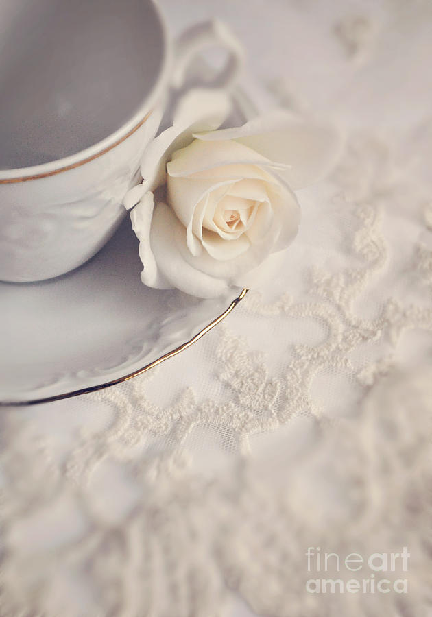 Cream rose on white china cup Photograph by Lyn Randle