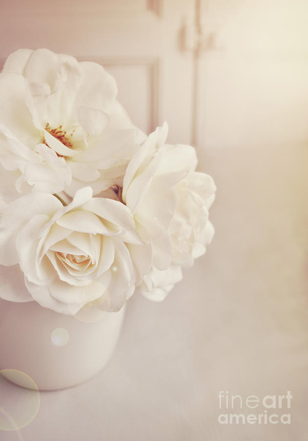 Cream roses in vase Photograph by Lyn Randle