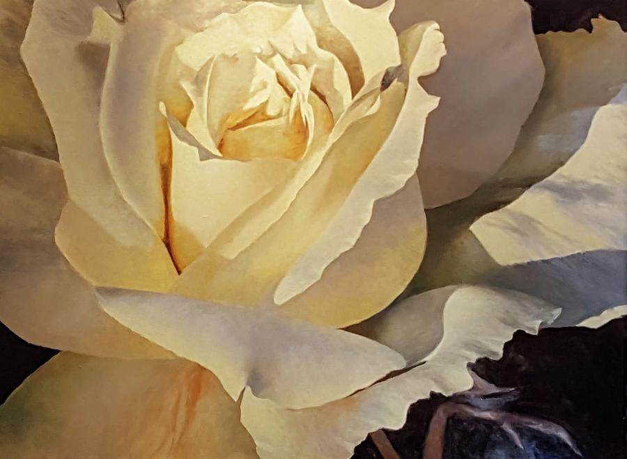 Creamy Rose Painting by Jessica Anne Thomas