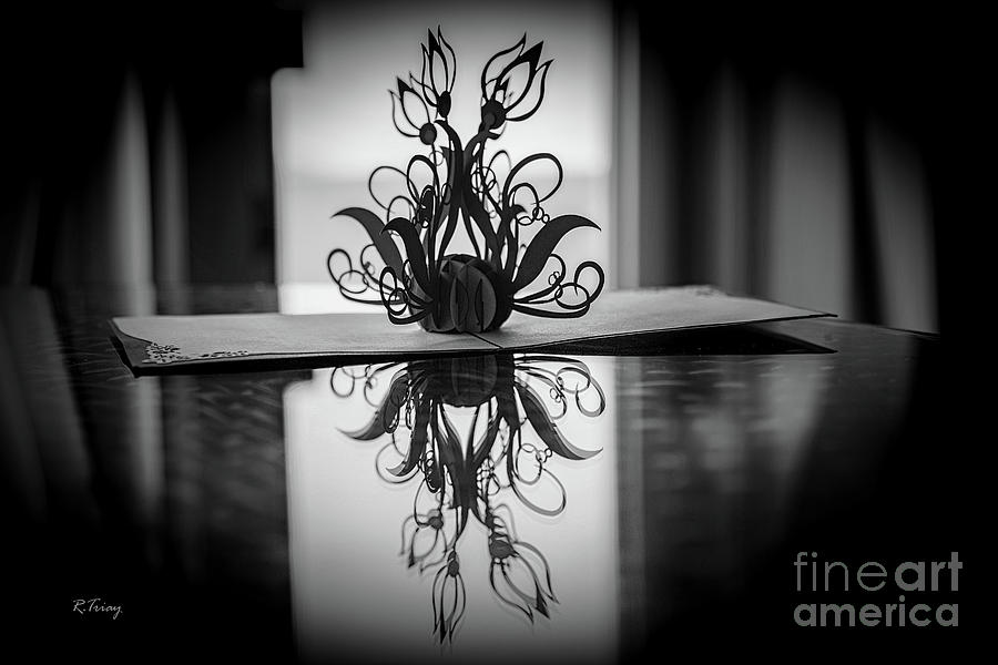 Creative Cuts and Flower Folds Photograph by Rene Triay FineArt Photos