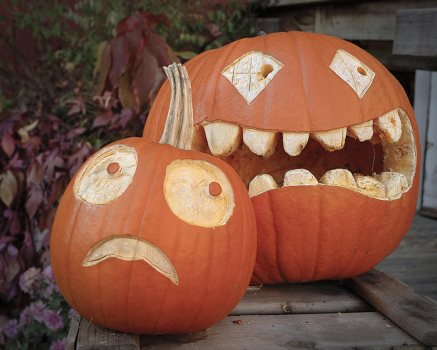 Creatively Carved Jack-o-lanterns Photograph by Phil Cardamone