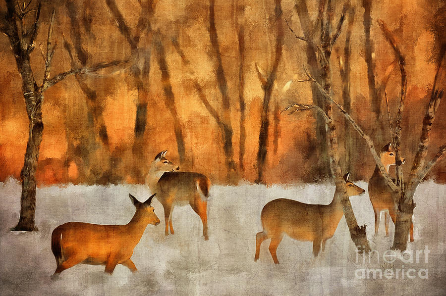 Deer Digital Art - Creatures of a Winter Sunset by Lois Bryan