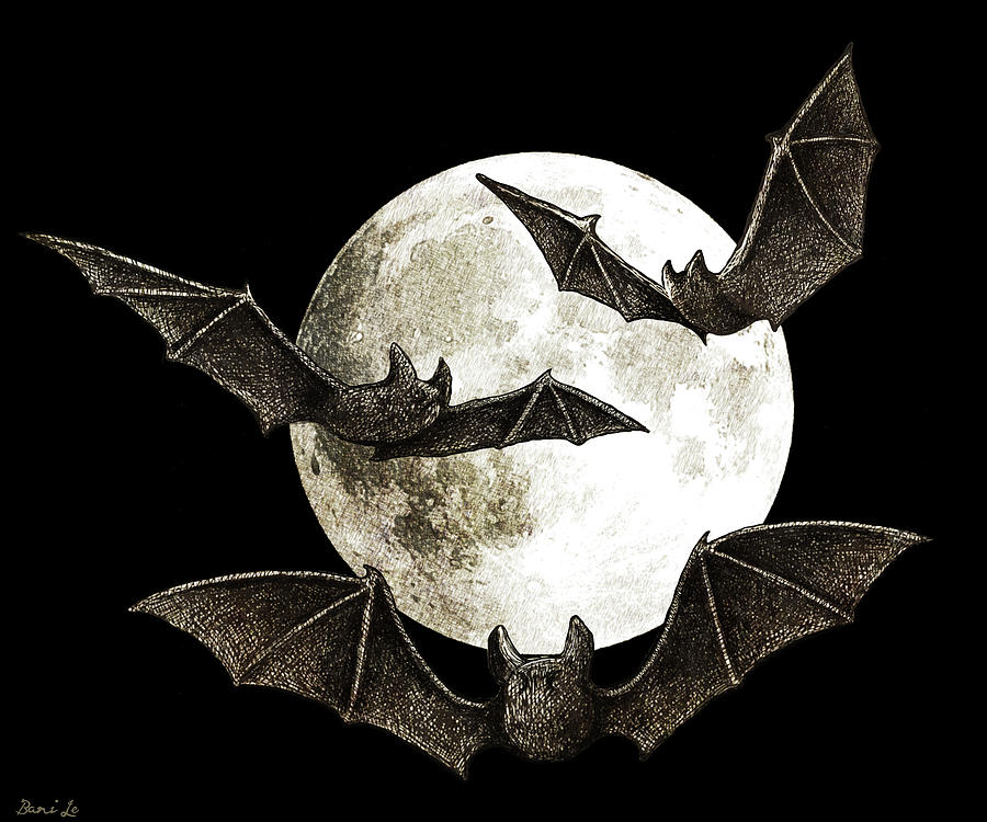 Bat Drawing - Creatures Of The Night by Little Bunny Sunshine