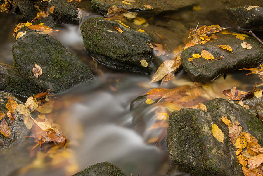 Creek 3 Photograph by Joye Ardyn Durham