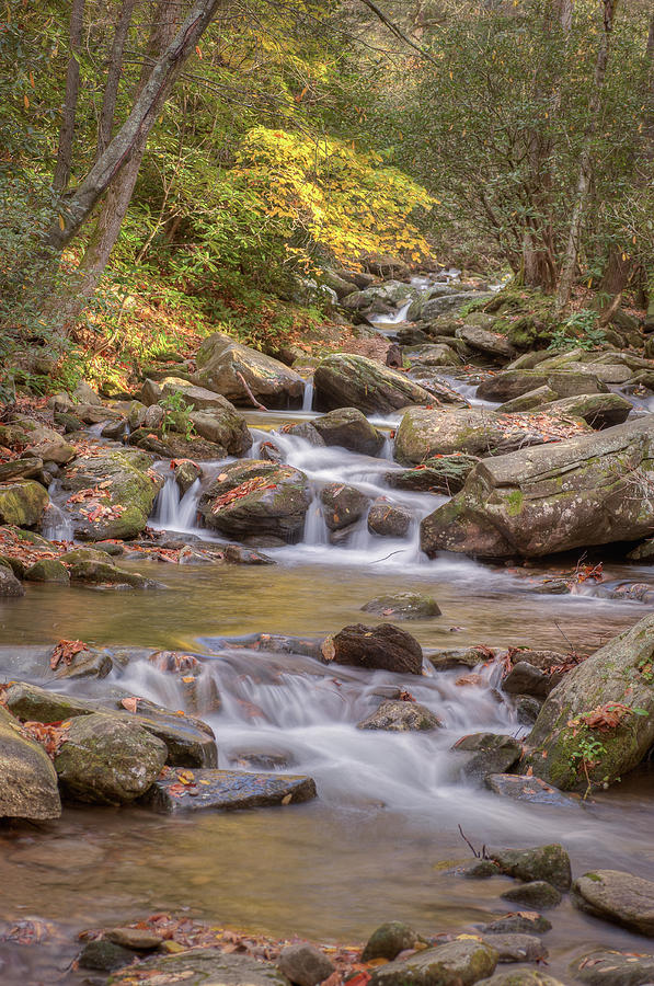 Creek 6 Photograph by Joye Ardyn Durham