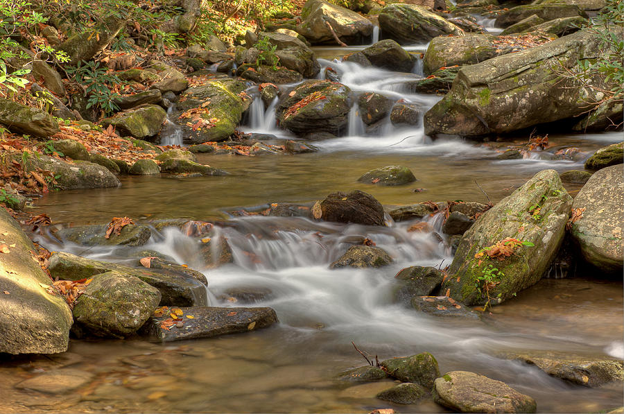 Creek 7 Photograph by Joye Ardyn Durham