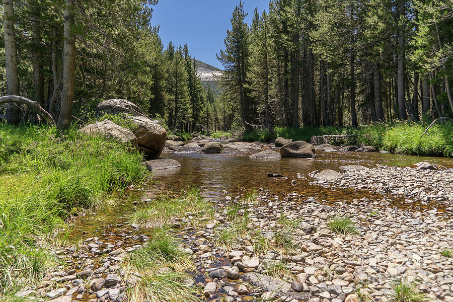 Creek Along Tioga Pass Yosemite California dsc04301 Photograph by Wingsdomain Art and Photography
