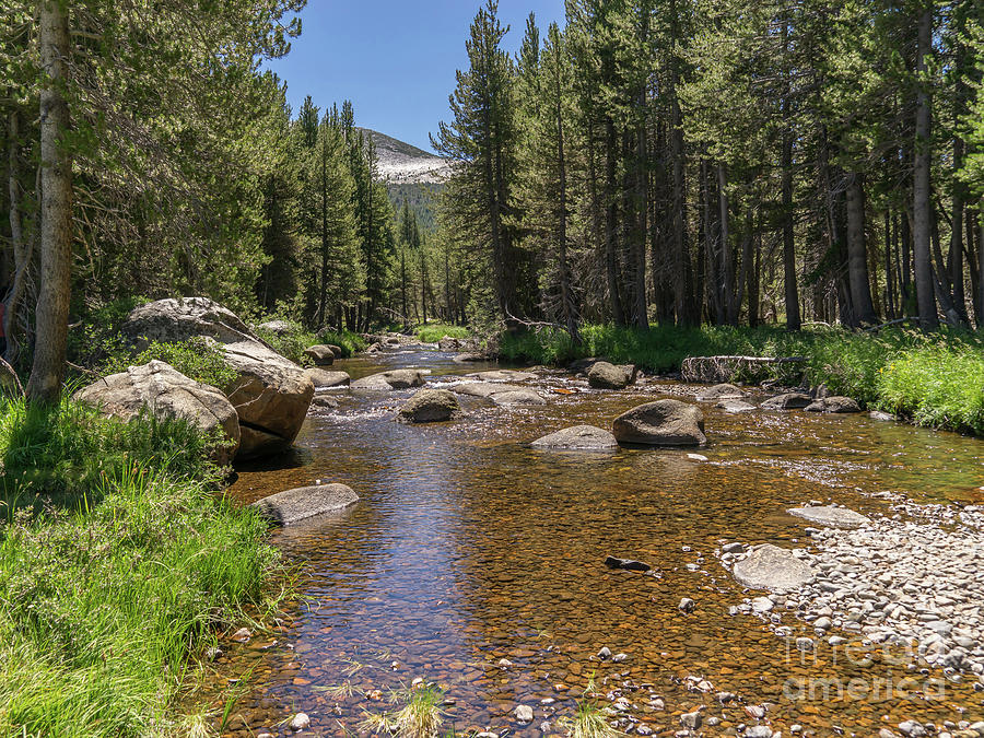 Creek Along Tioga Pass Yosemite California dsc04303 Photograph by Wingsdomain Art and Photography