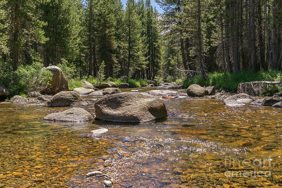 Yosemite National Park Photograph - Creek Along Tioga Pass Yosemite California dsc04306 by Wingsdomain Art and Photography