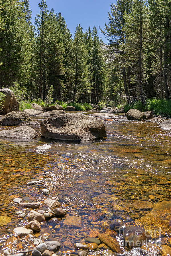Creek Along Tioga Pass Yosemite California dsc04307 Photograph by Wingsdomain Art and Photography