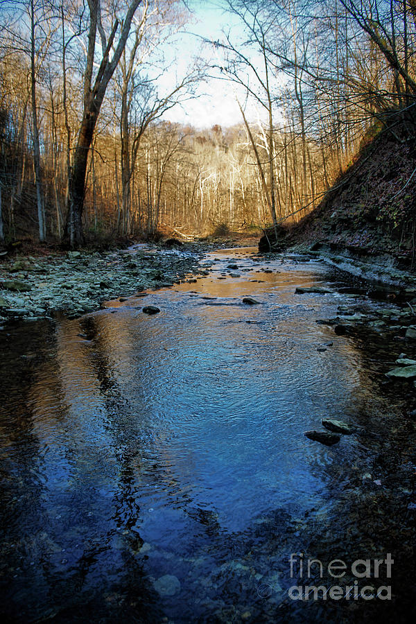 Creek at Dusk Photograph by David Arment