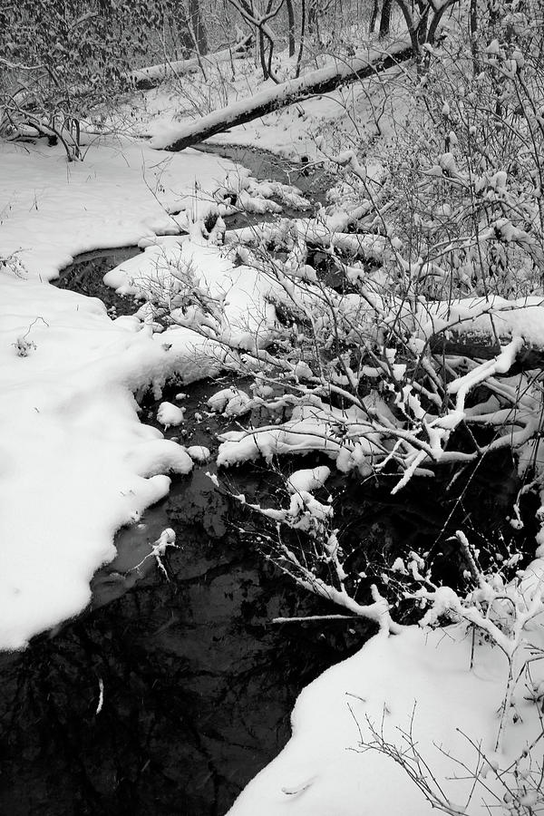 Creek Cloaked in Winter Photograph by Scott Kingery