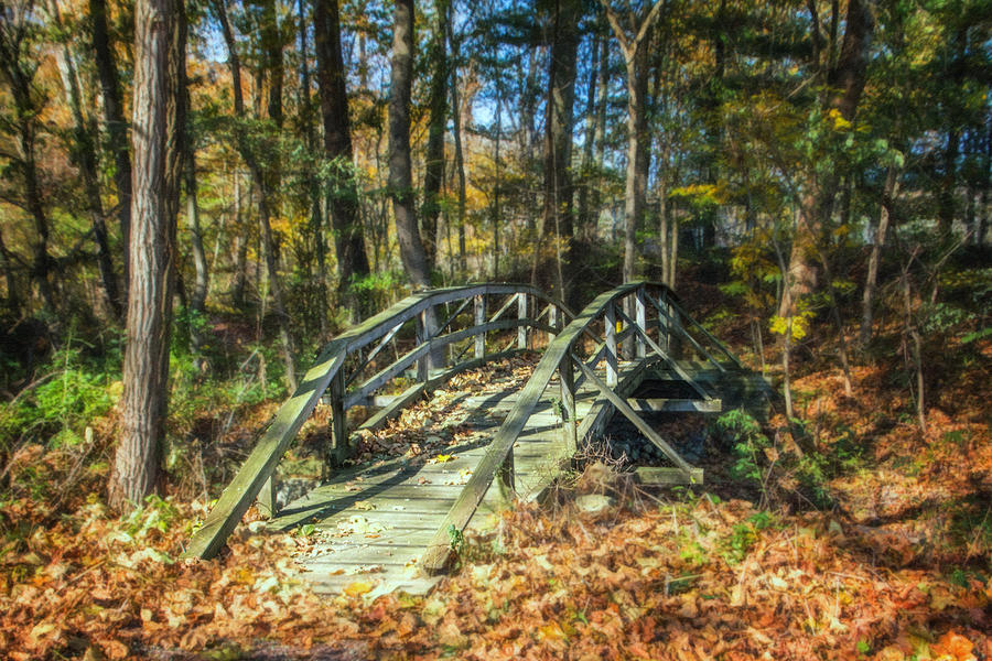 Fall Photograph - Creek Crossing by Tom Mc Nemar