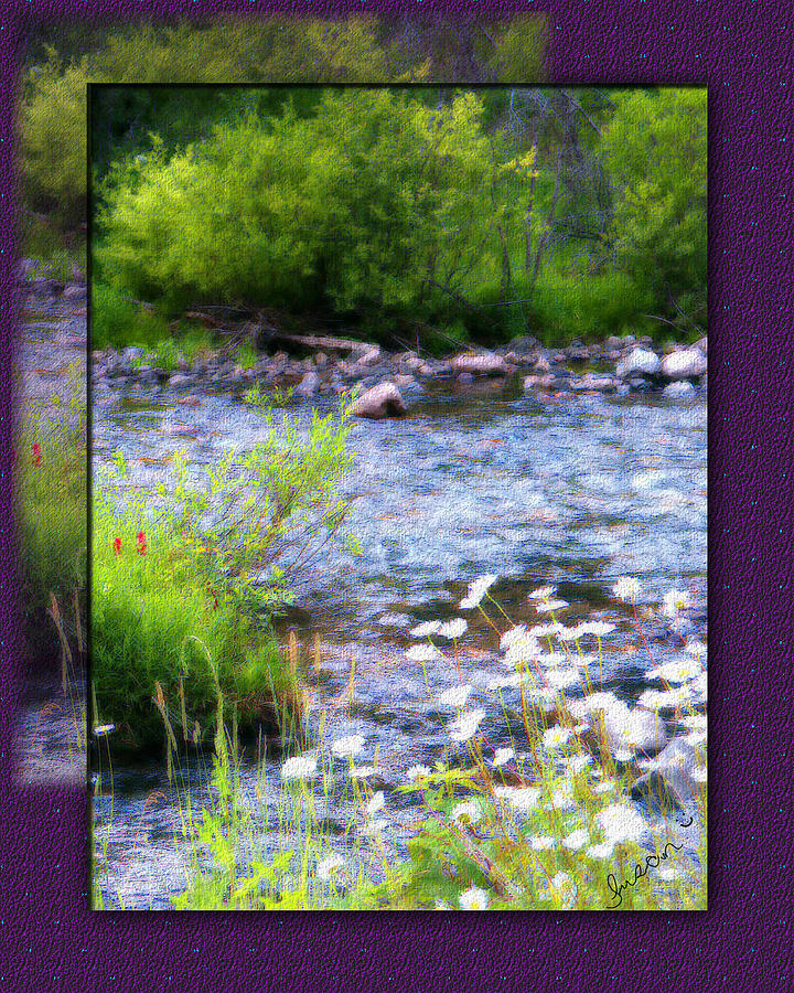 Creek Daisys Photograph by Susan Kinney