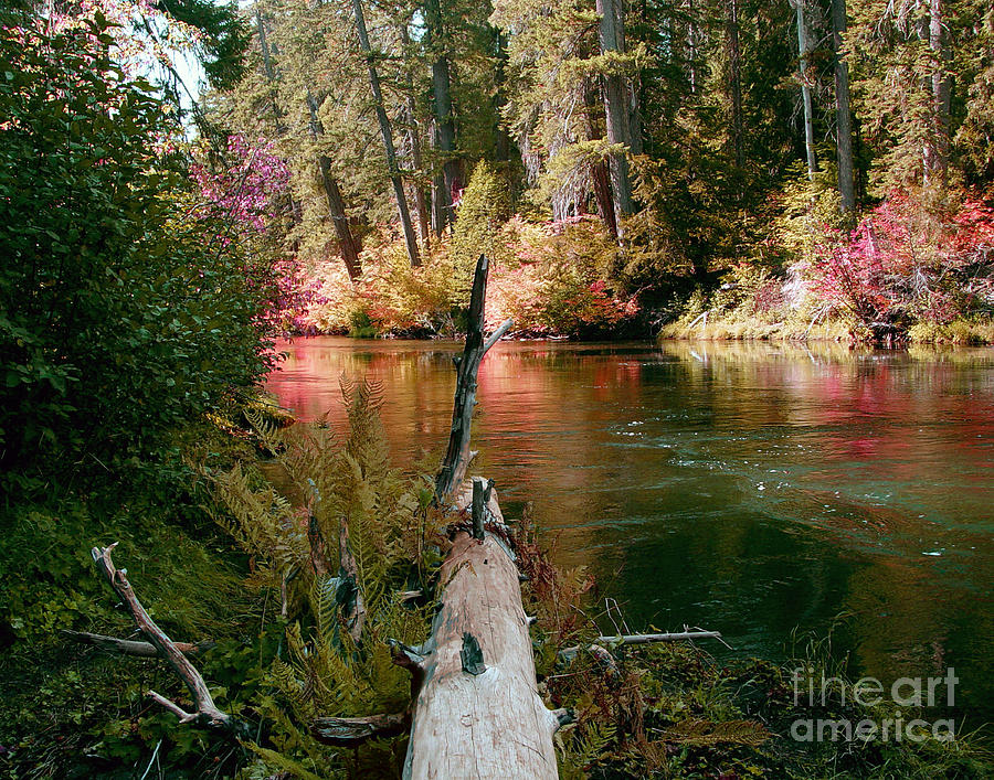Nature Photograph - Creek Fall by Peter Piatt