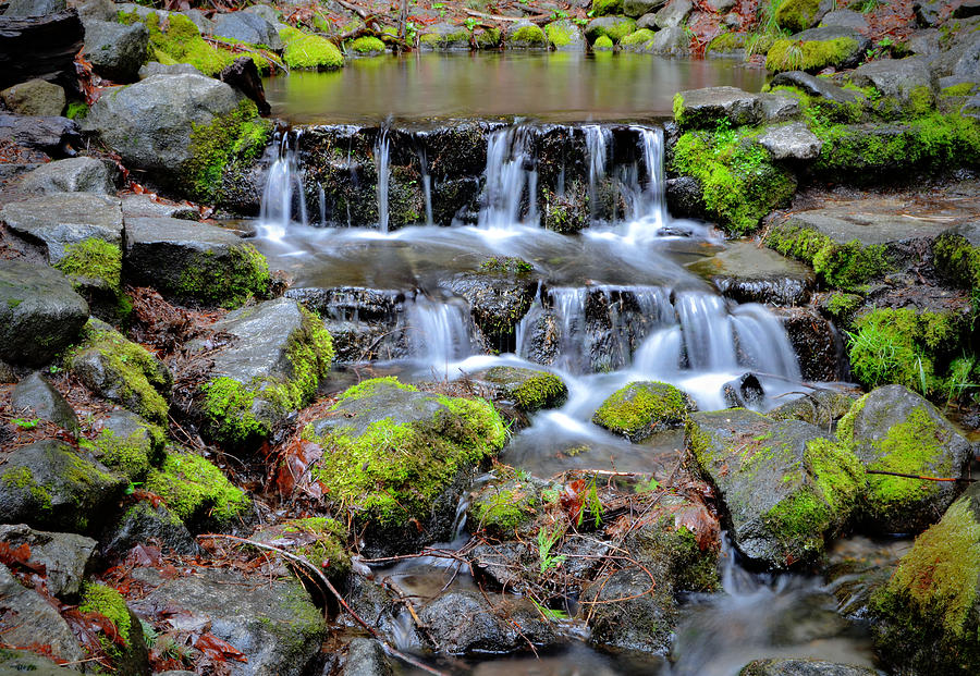 Creek Flow Photograph by See My Photos