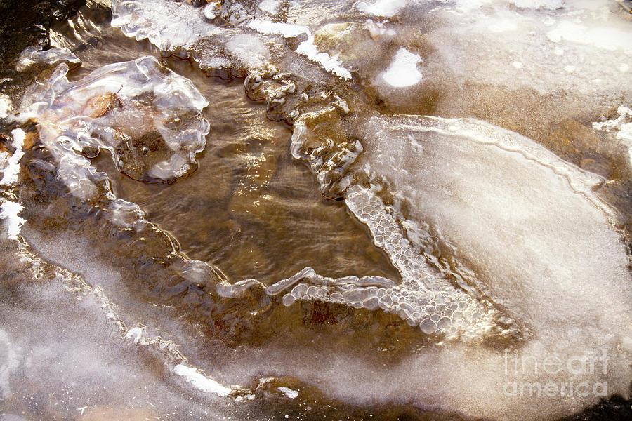 Creek Freezing Photograph by Karen Foley