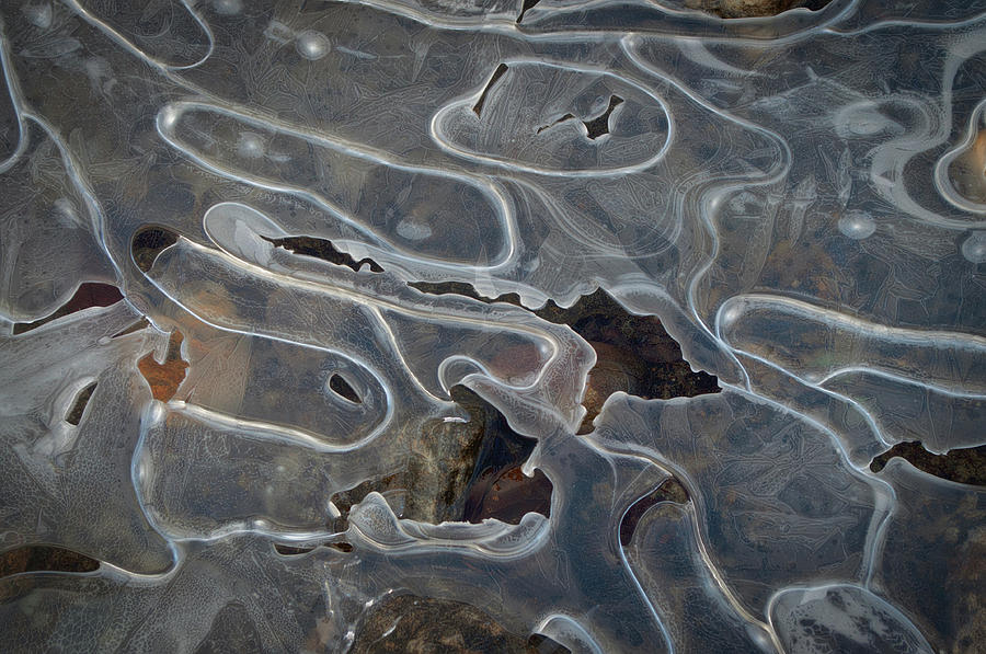 Creek Ice Abstract 1 Dreamy Photograph by Cathy Mahnke