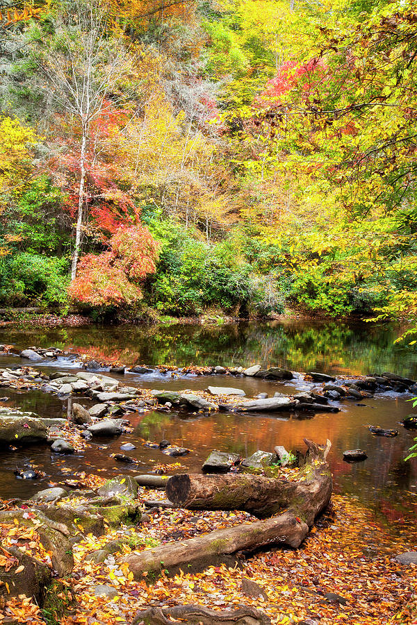 Creek in the Autumn Photograph by Jill Lang
