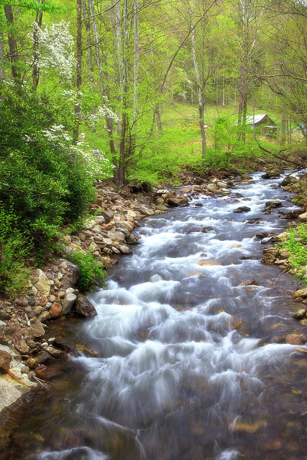 Creek in the Springtime Photograph by Jill Lang