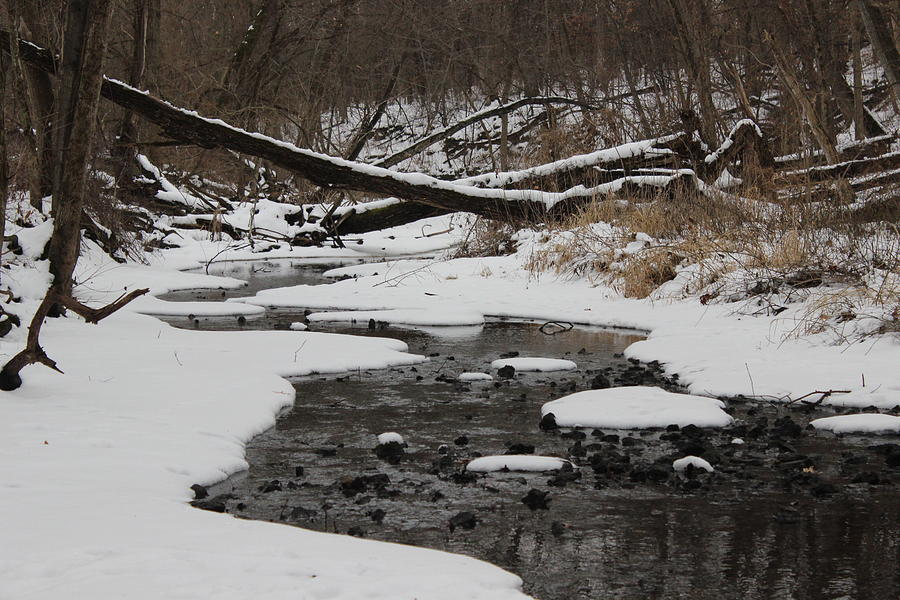 Creek In The Winter Photograph