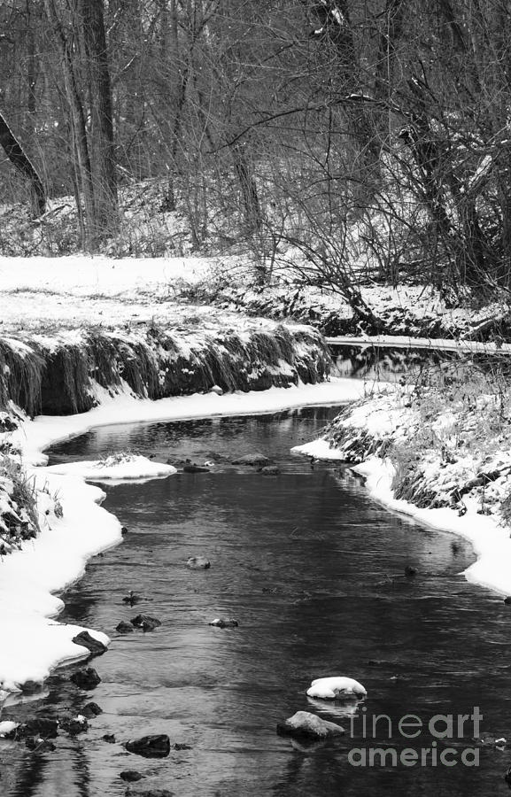 Creek In The Woods In Winter Photograph by Tamara Becker