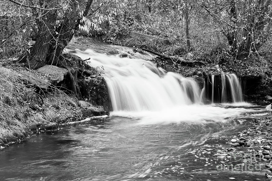 Nature Photograph - Creek Merge Waterfall in Black and White by James BO Insogna