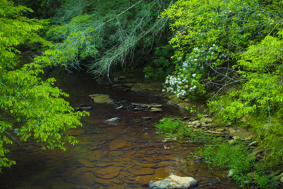 Creek Of Kentucky Photograph by J PhotoArt