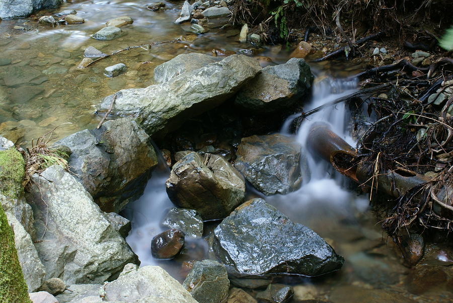 Creek on Mt Tamalpais 6 Photograph by Ben Upham III