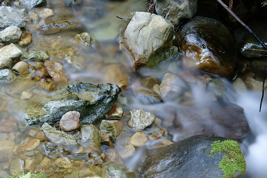 Creek on Mt Tamalpais Photograph by Ben Upham III