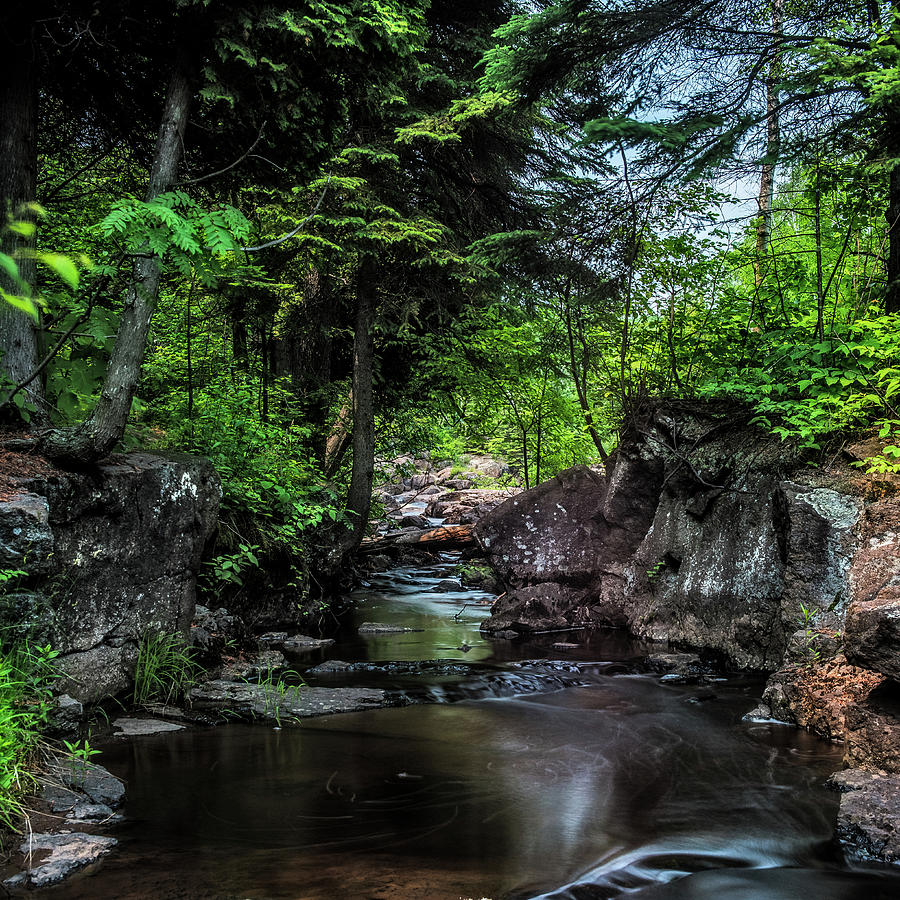 Creek Photograph by Paul Freidlund