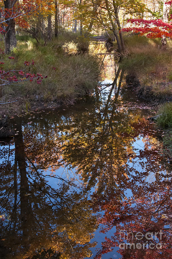 Creek Reflection Photograph by Bob Phillips - Fine Art America