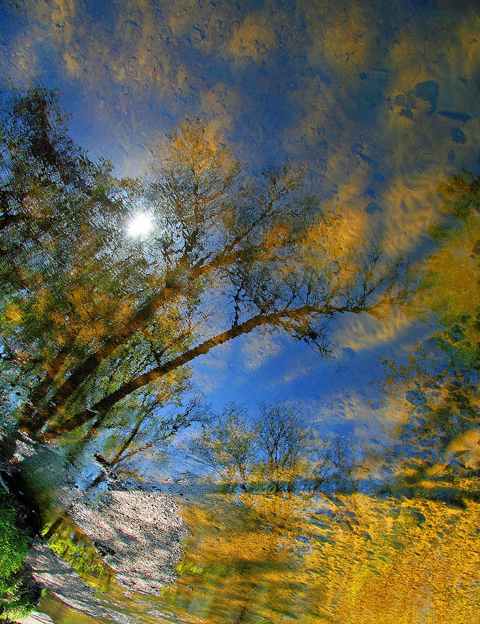 Creek Reflections Photograph by Cora Wandel