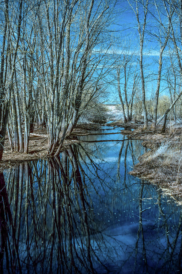 Nature Photograph - Creek Reflections by Paul Freidlund