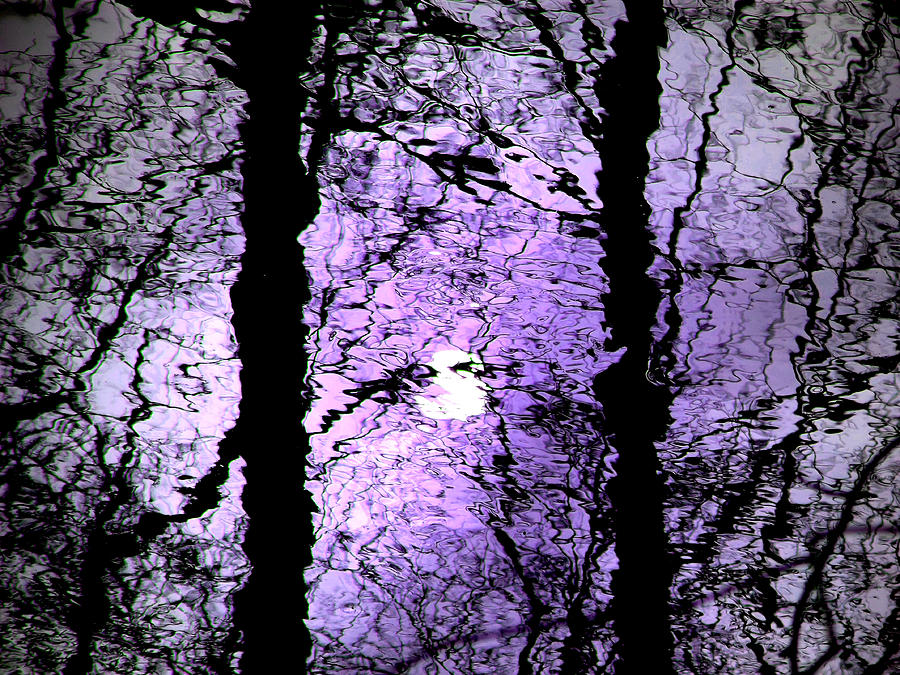 Creek Shadow 2962 - Purple Moon Creek Photograph by Jacob Folger