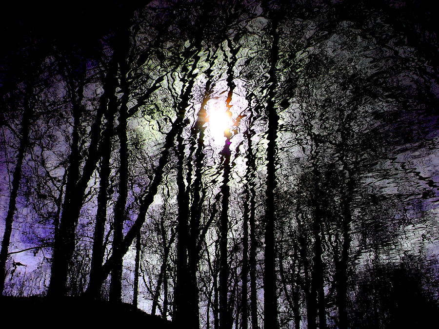 Creek Shadow 3004 - Purple Night Forest Photograph by Jacob Folger