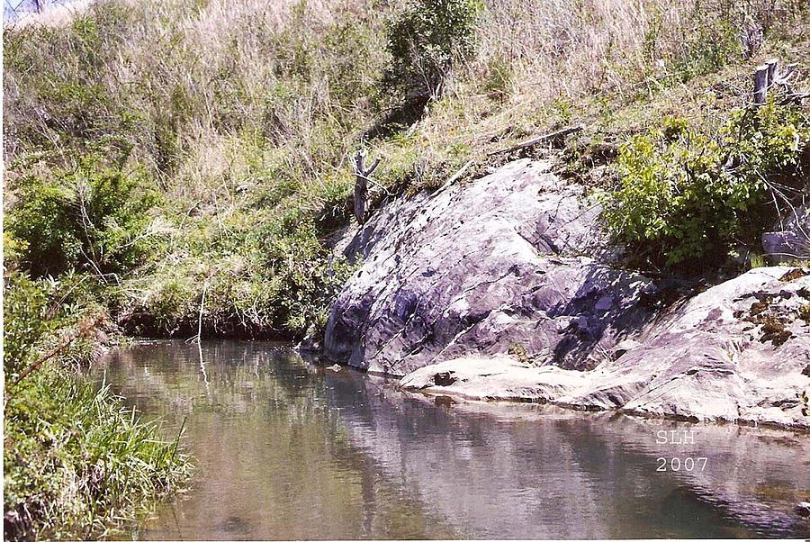 Creek Photograph - Creek side by Lee Hartsell Creek Photograph - Creek side by Lee Hartsell