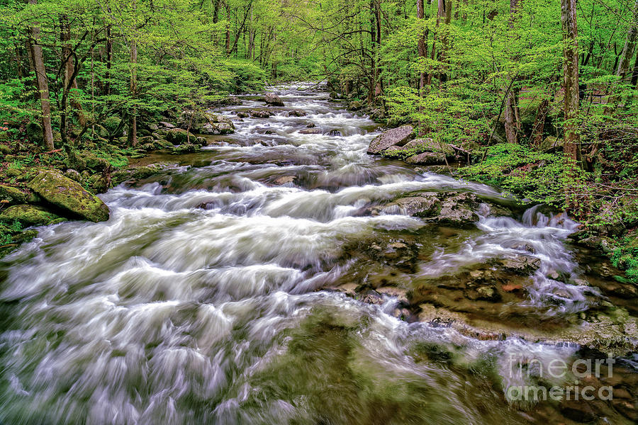 Creek through Smokies Photograph by Izet Kapetanovic