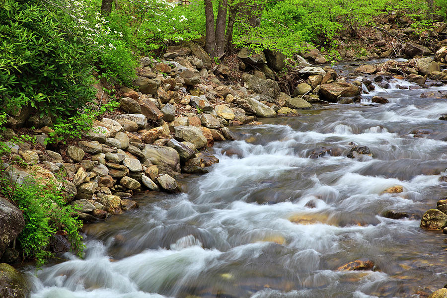 Creek Water Photograph by Jill Lang