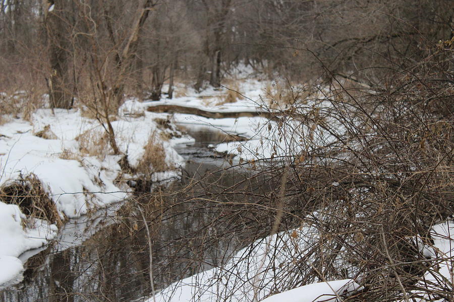 Creek Winding Through The Snow Photograph