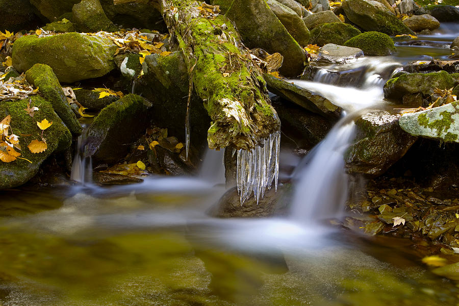 Creek with Icicles Photograph by Richard Steinberger - Fine Art America