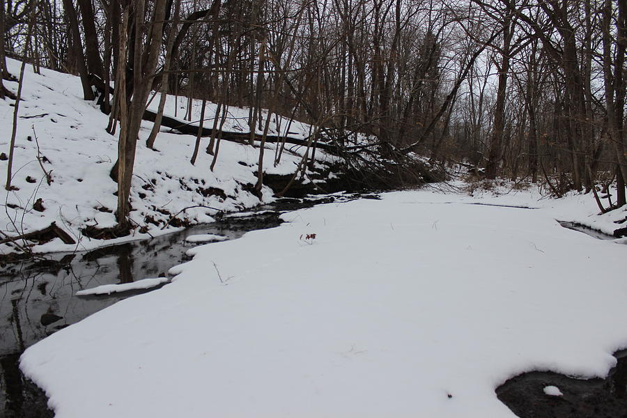 Creeks Battles The Snow And Cold To Remain Flowing. Photograph